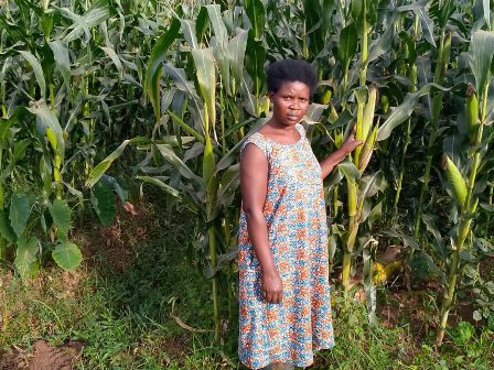 Inkuru itangaje y’abagore bakataje mu buhinzi bwita ku mihindagurikire y’ikirere